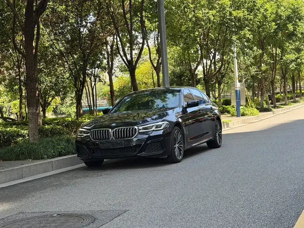 2021 BMW 5 Series 5 530Li M