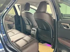 2020 Lexus RX 300 2WD Comfort VI, синий — фото 15