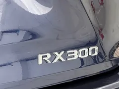 2020 Lexus RX 300 2WD Comfort VI, синий — фото 19
