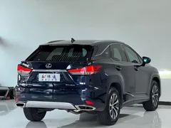 2020 Lexus RX 300 2WD Comfort VI, синий — фото 21