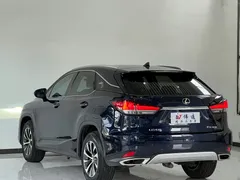 2020 Lexus RX 300 2WD Comfort VI, синий — фото 22