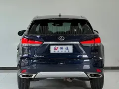 2020 Lexus RX 300 2WD Comfort VI, синий — фото 23