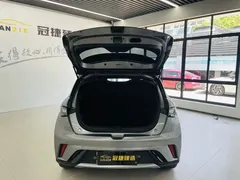 2023 BYD Dolphin 420km Fashion — фото 14