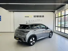 2023 BYD Dolphin 420km Fashion — фото 16