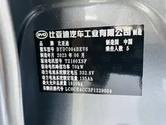 2023 BYD Dolphin 420km Fashion — фото 17