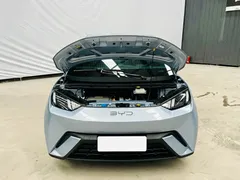 2025 BYD Seagull 305km Vitality, синий — фото 12