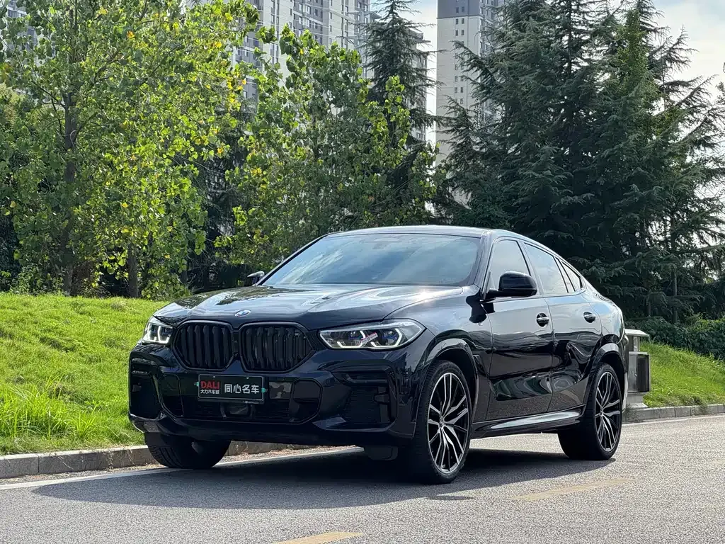 2022 BMW X6 M
