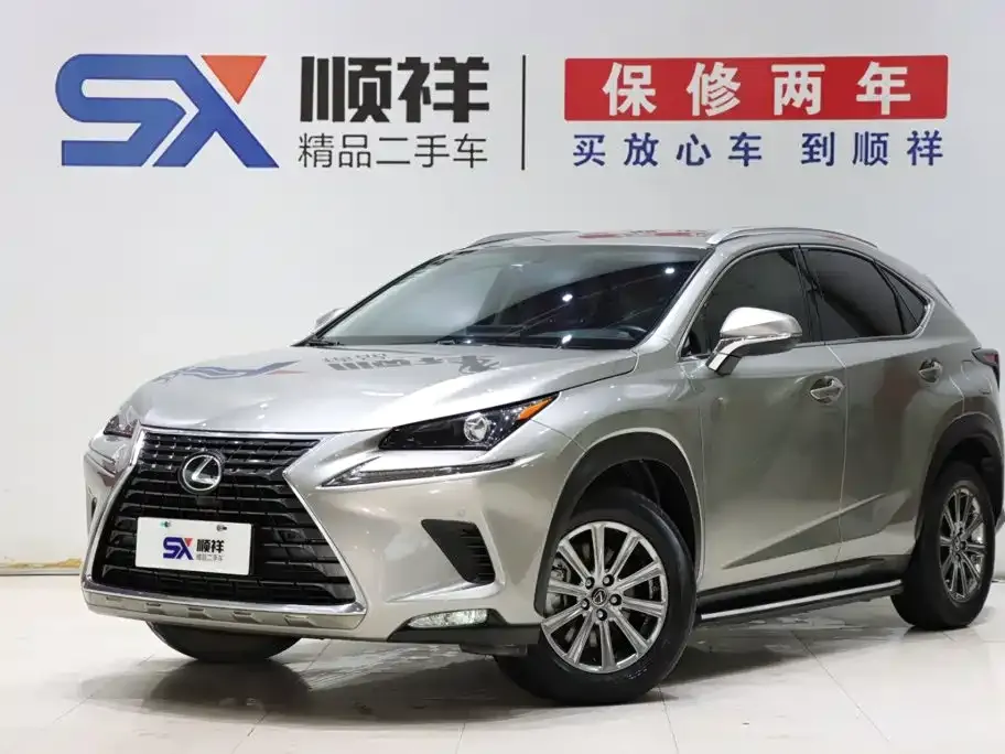 2020 Lexus NX 200 VI