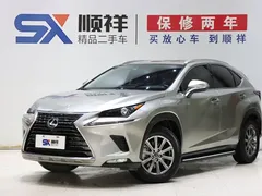2020 Lexus NX 200 VI — фото 1