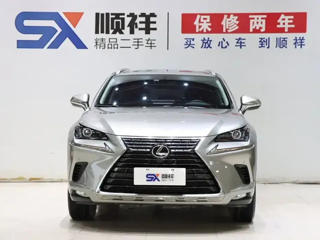 2020 Lexus NX 200 VI