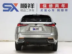 2020 Lexus NX 200 VI — фото 5