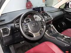 2020 Lexus NX 200 VI — фото 10