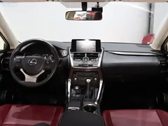 2020 Lexus NX 200 VI — фото 12