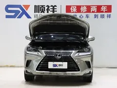 2020 Lexus NX 200 VI — фото 17