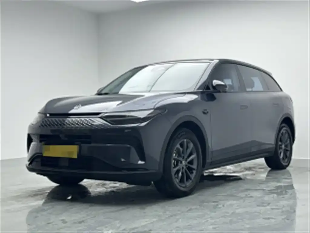 2023 Leapmotor C11 285