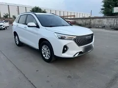 2021 Haval M6 Plus 1.5T DCT Luxury, белый — фото 22