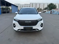 2021 Haval M6 Plus 1.5T DCT Luxury, белый — фото 23