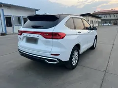 2021 Haval M6 Plus 1.5T DCT Luxury, белый — фото 24