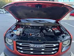 2021 Haval Dargo 2.0T DCT 4WD — фото 16