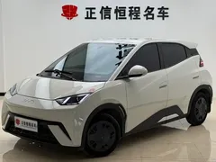 2023 BYD Seagull — фото 22