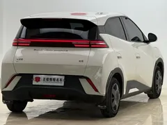 2023 BYD Seagull — фото 24