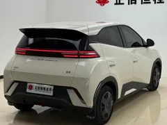 2023 BYD Seagull — фото 26