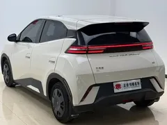 2023 BYD Seagull — фото 27