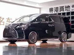 2020 Lexus LM 300h, чёрный — фото 1