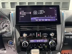 2020 Lexus LM 300h, чёрный — фото 24