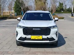 2021 Haval H6 3rd Gen 2.0T AT 4WD Max, белый — фото 2
