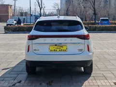 2021 Haval H6 3rd Gen 2.0T AT 4WD Max, белый — фото 4