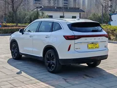2021 Haval H6 3rd Gen 2.0T AT 4WD Max, белый — фото 5