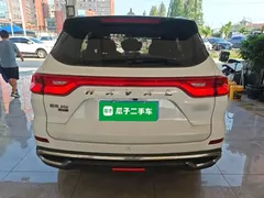2021 Haval M6 Plus 1.5T DCT Luxury, белый — фото 4
