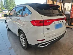 2021 Haval M6 Plus 1.5T DCT Luxury, белый — фото 24