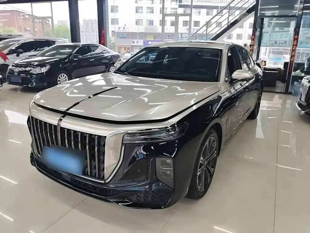 2024 Hongqi H9 2.0T Fashion