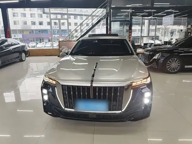 2024 Hongqi H9 2.0T Fashion