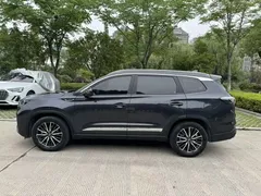 2022 Chery Tiggo 8 Pro 8 PLUS 390TGDI DCT — фото 12