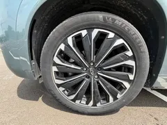 2023 Chery Tiggo 9 2.0T AT 2WD Premium 5-seat, синий — фото 16