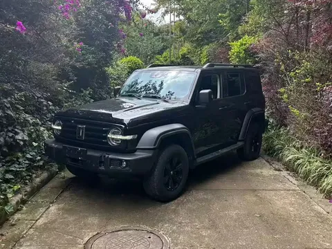 2021 Tank 300 2.0T