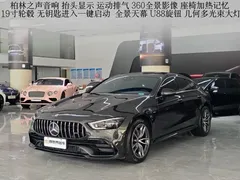 2020 Mercedes-Benz AMG GT 50 — фото 1