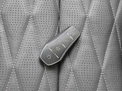 2024 BYD Seal Honor Edition EV 550km Elite — фото 15