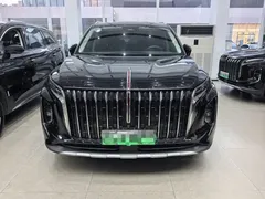 2024 Hongqi HS7 2.0T PHEV 4WD 6, чёрный — фото 2