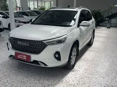 2023 Haval M6 Plus 1.5T DCT Luxury, белый — фото 1
