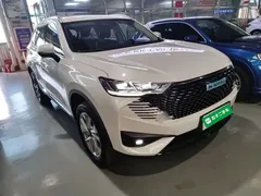 2023 Haval H6 DHT-PHEV 55KM, белый — фото 4