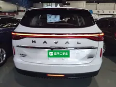 2023 Haval H6 DHT-PHEV 55KM, белый — фото 6