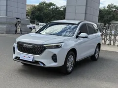 2023 Haval M6 Plus 1.5T MT Elite, белый — фото 1