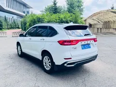 2023 Haval M6 Plus 1.5T DCT Luxury, белый — фото 4