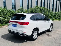 2023 Haval M6 Plus 1.5T DCT Luxury, белый — фото 6