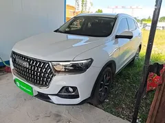 2023 Haval H6 1.5T AT Guochao Urban, белый — фото 2