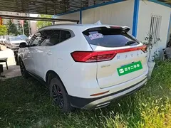 2023 Haval H6 1.5T AT Guochao Urban, белый — фото 5